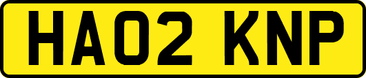 HA02KNP