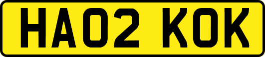 HA02KOK