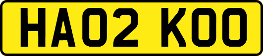 HA02KOO