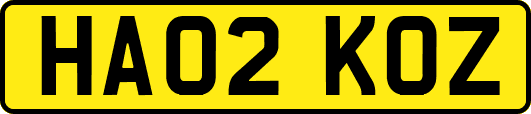 HA02KOZ