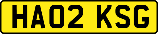 HA02KSG