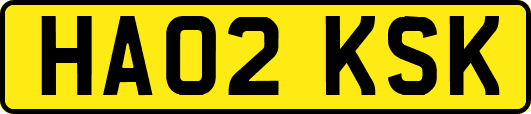 HA02KSK