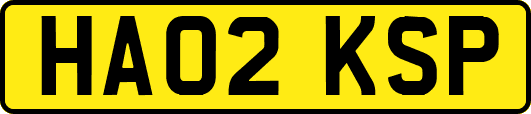 HA02KSP