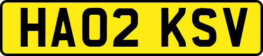 HA02KSV