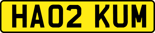 HA02KUM