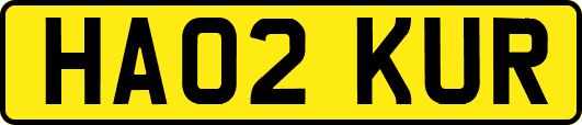 HA02KUR