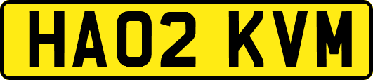 HA02KVM