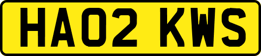HA02KWS