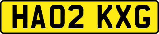 HA02KXG