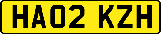 HA02KZH
