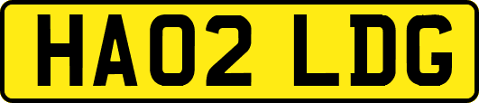 HA02LDG