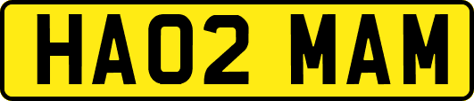 HA02MAM