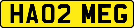 HA02MEG