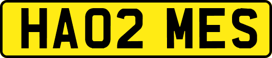 HA02MES