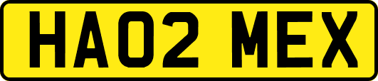 HA02MEX