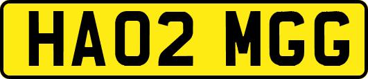 HA02MGG