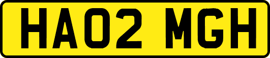 HA02MGH
