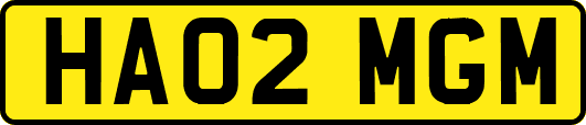 HA02MGM