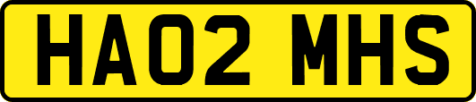 HA02MHS