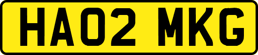 HA02MKG