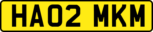 HA02MKM