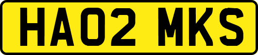 HA02MKS