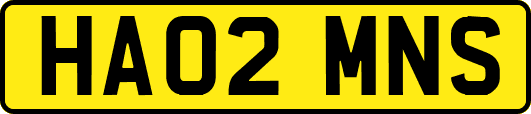 HA02MNS