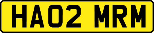 HA02MRM