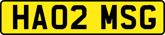 HA02MSG