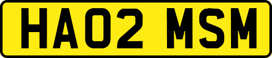 HA02MSM
