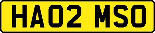 HA02MSO