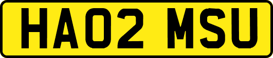 HA02MSU