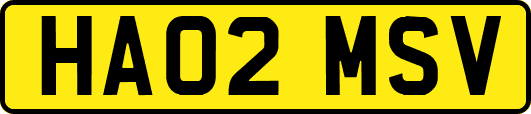 HA02MSV