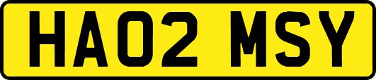 HA02MSY