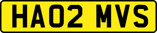 HA02MVS