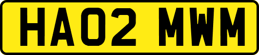 HA02MWM