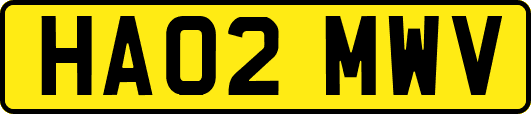 HA02MWV