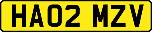 HA02MZV