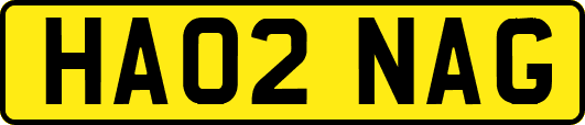 HA02NAG