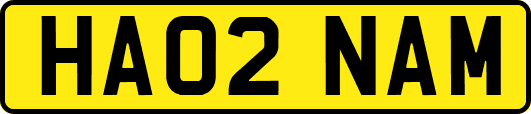 HA02NAM