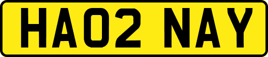 HA02NAY
