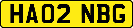 HA02NBG
