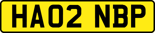 HA02NBP