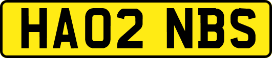 HA02NBS