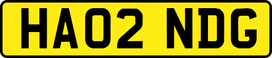 HA02NDG