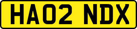 HA02NDX