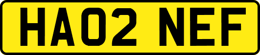 HA02NEF