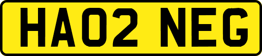 HA02NEG