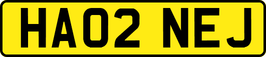 HA02NEJ
