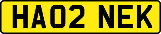 HA02NEK
